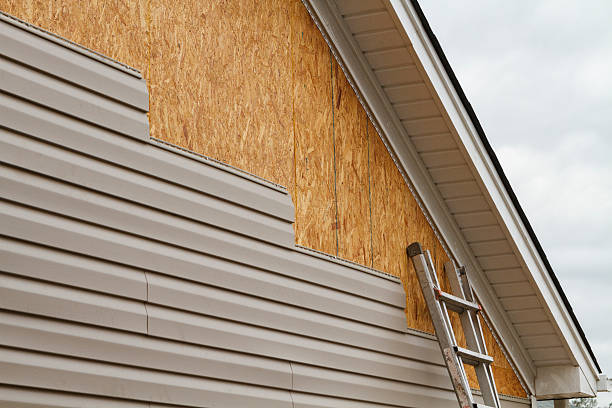 Professional Siding Inspection technician working in Scottsmoor, FL